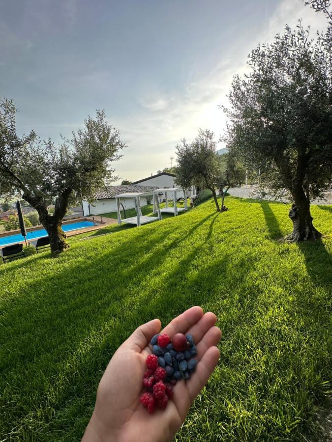 Agriturismo Maison 1933 Caprino Veronese Luaran gambar